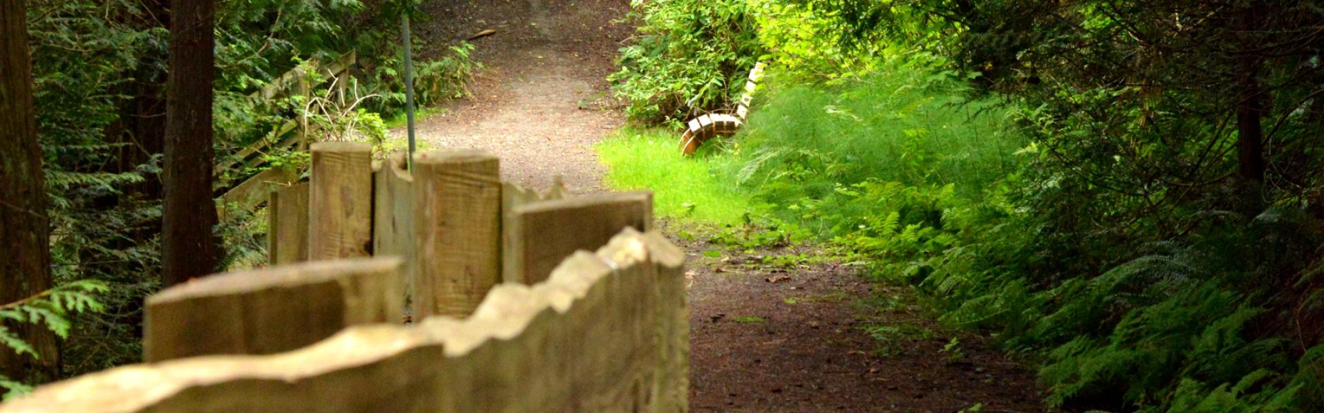 Kelvin Grove Trail