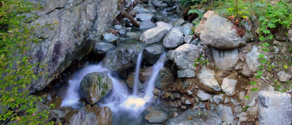 Magnesia Creek at wooden bridge on Crystal Falls Road